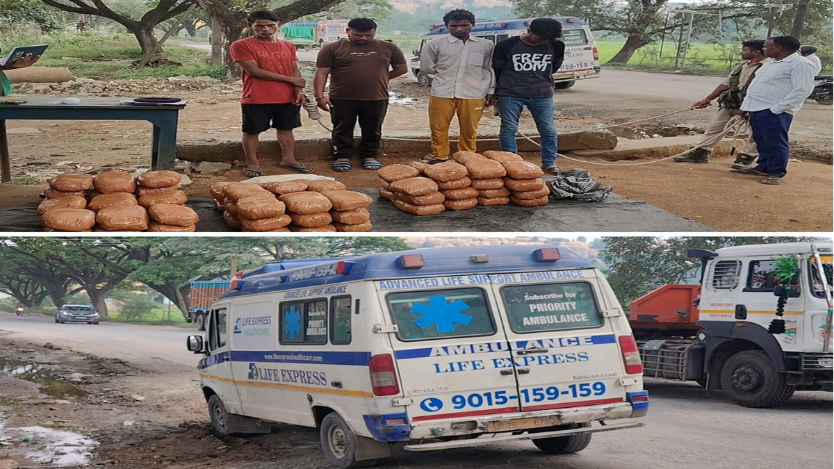 Cannabis smuggling
