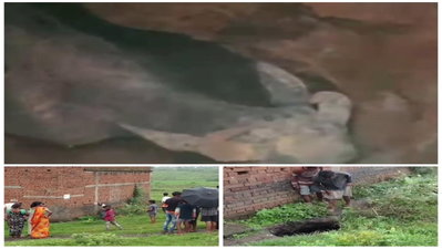 Dhanbad News : कतरास में जमीन धंसी, घर के पास बने गोफ में मवेशी गिरा, BCCL की अनदेखी पर भड़के लोग