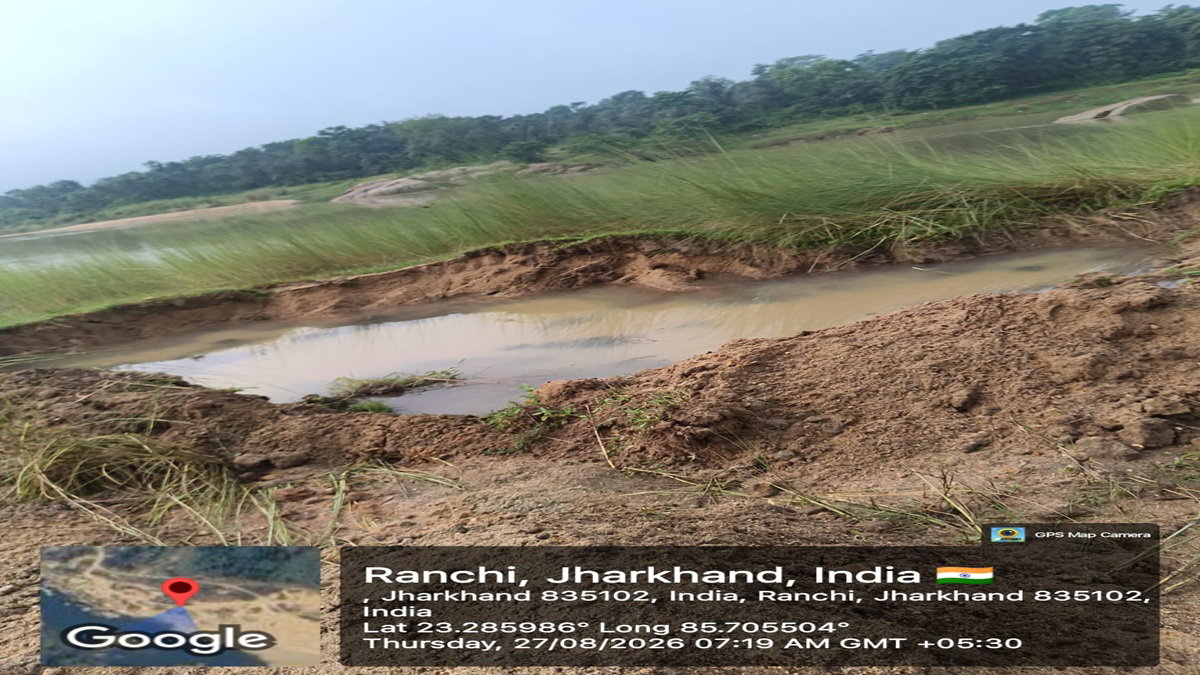 Uploaded Image