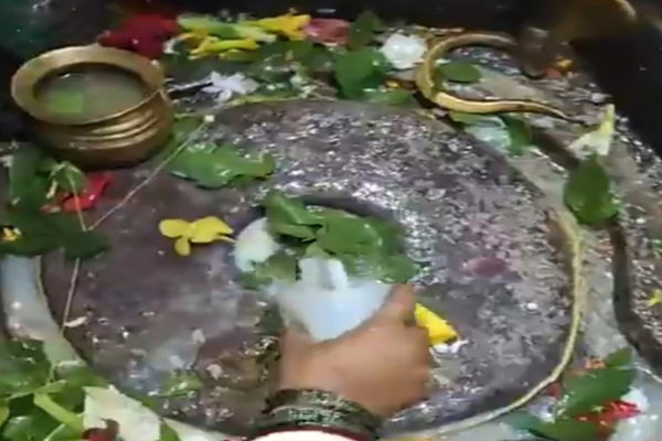 Uploaded Image