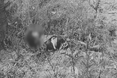 पाकुड़ :  खेत से डिलीवरी बॉय का शव बरामद, जांच में जुटी पुलिस