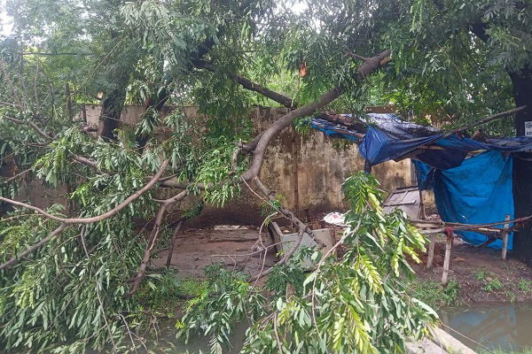 रामगढ़ में आंधी-बारिश से कई जगह गिरे पेड़, वज्रपात से युवक की मौत