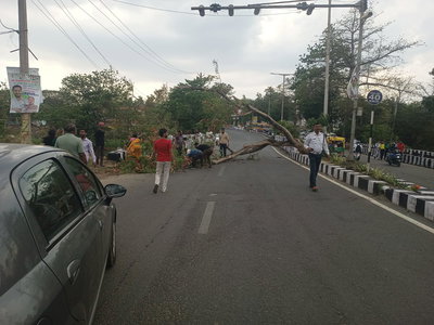 रांची :  डिबडीह पुल के पास तेज हवा से गिरा पेड़,  20 मिनट तक ट्रैफिक रही बाधित