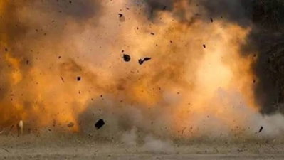 Palamu News :  जंगल में खुखड़ी चुनते समय ब्लास्ट, व्यक्ति का दायां हाथ फटा