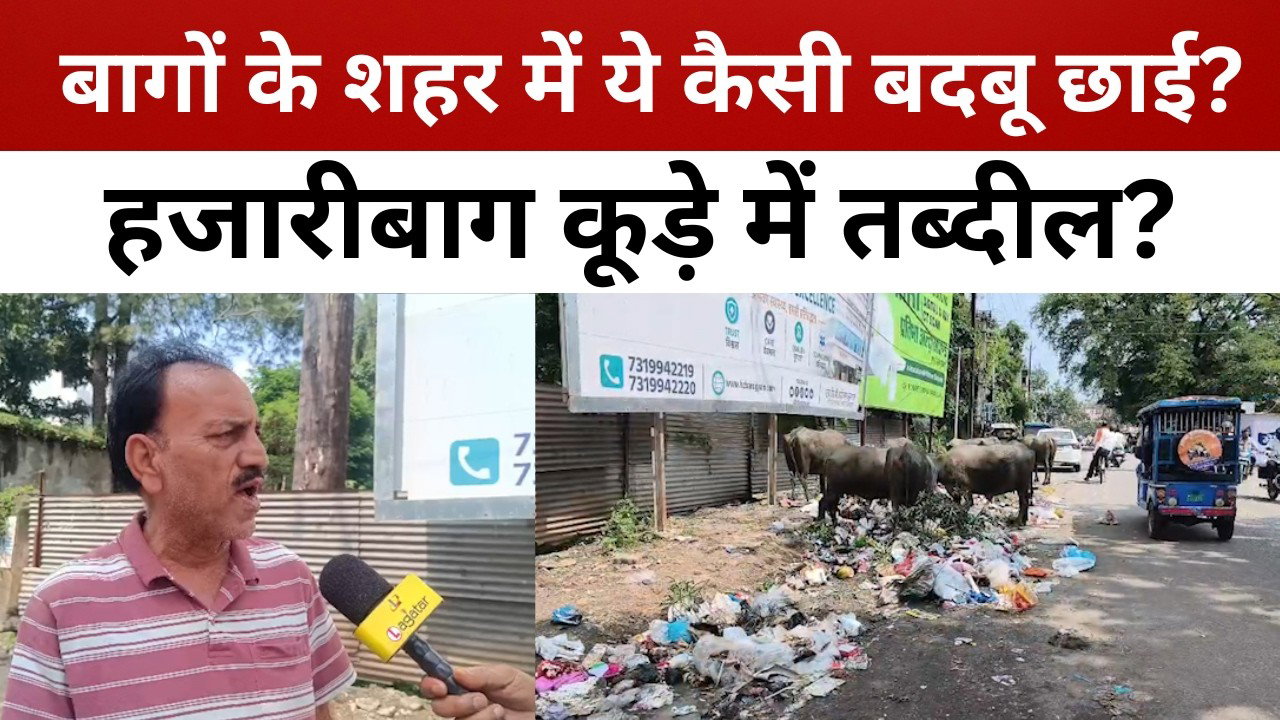 हजारीबाग कूड़े में तब्दील, जहां तक नजर जाए सिर्फ कूड़ा ही कूड़ा || livelagatar news ||