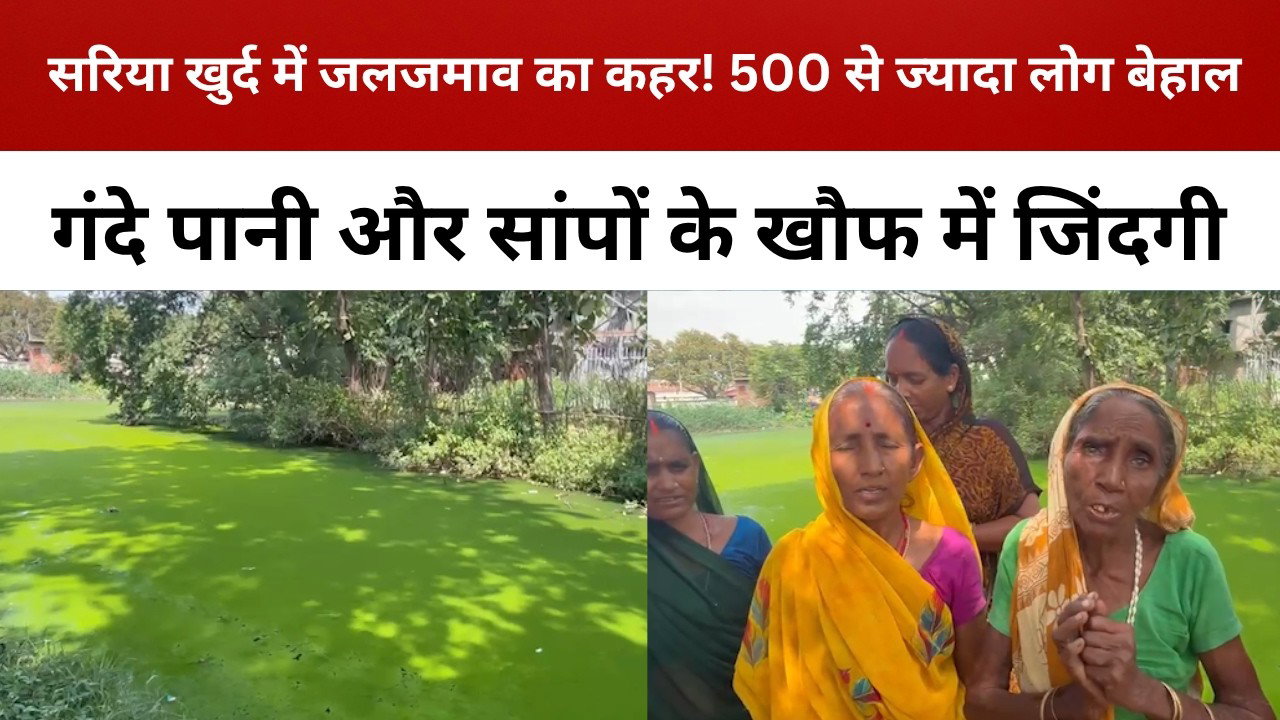 सरिया खुर्द में जलजमाव का कहर! 500 से ज्यादा लोग बेहाल, गंदे पानी और सांपों के खौफ में जिंदगी