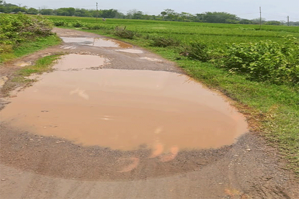 बहरागोड़ा: बरसोल की सड़कों की बदहाली से राहगीर परेशान