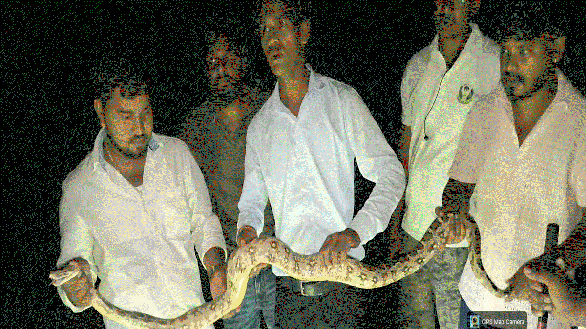 Bokaro News :शोभायात्रा में सांप लेकर पहुंचे कलाकार, वन विभाग ने किया रेस्क्यू