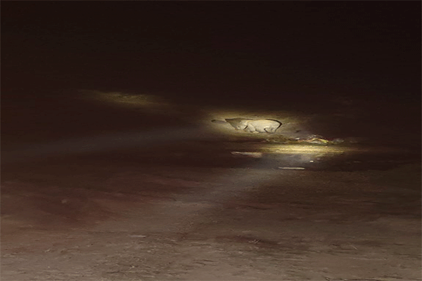 गिरिडीह के पीरटांड़ पहुंचा चार हाथियों का झुंड, ग्रामीणों से सतर्क रहने की अपील