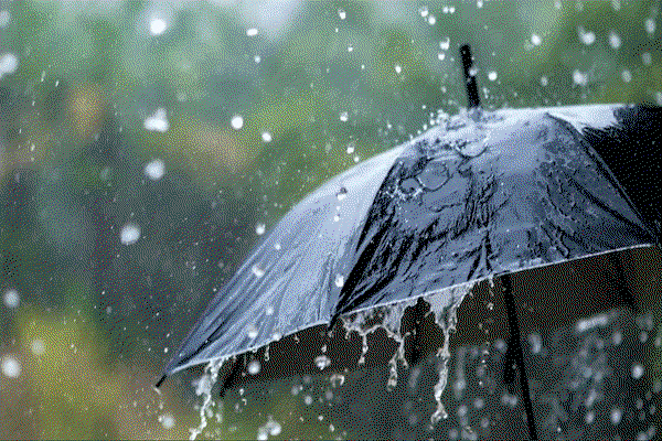 Jharkhand Weather : 17 जुलाई तक बारिश, वज्रपात व तेज हवा का अलर्ट
