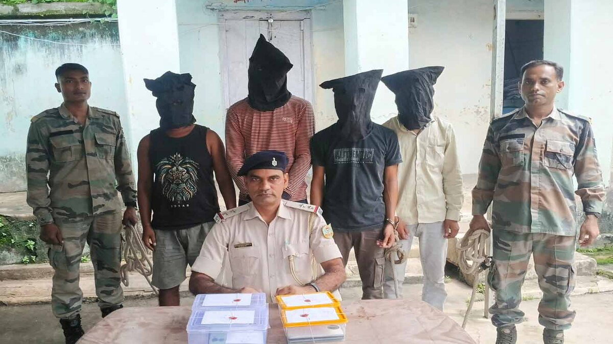 Cyber Criminal Arrest