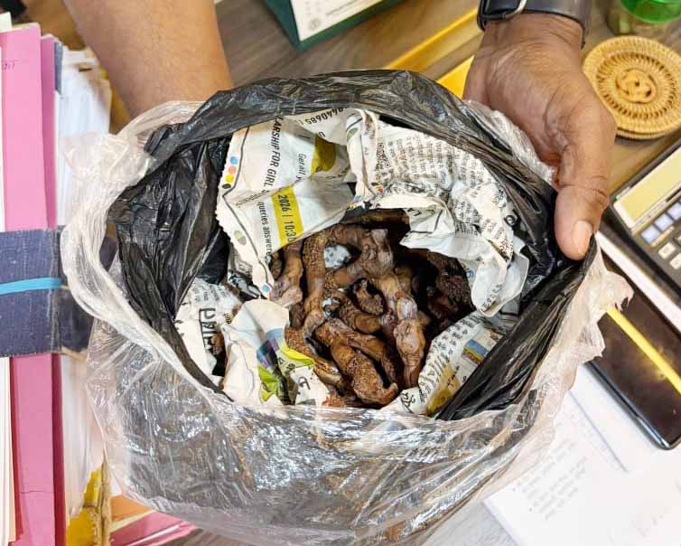 रांची में मॉनिटर लिजार्ड तस्करी का खुलासा, तीन गिरफ्तार