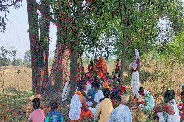 Baharagora : अच्छी बारिश व खुशहाली के लिए सरना धर्म के लोगों ने की आषाढ़ी पूजा