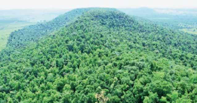 झा. वन विभाग में अधिकारियों को अतिरिक्त जिम्मेदारी, कई पदों पर बदली व्यवस्था