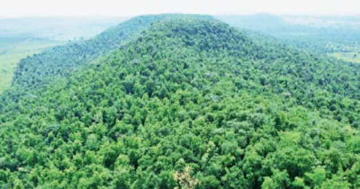 झा. वन विभाग में अधिकारियों को अतिरिक्त जिम्मेदारी, कई पदों पर बदली व्यवस्था