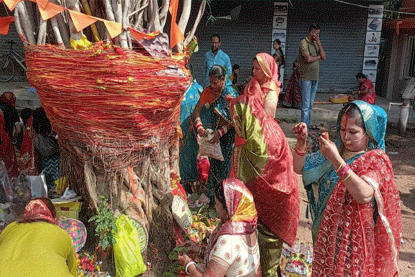 Chaibasa News : वट सावित्री की पूजा  के साथ सुहागिनों ने की पति की लंबी उम्र की कामना