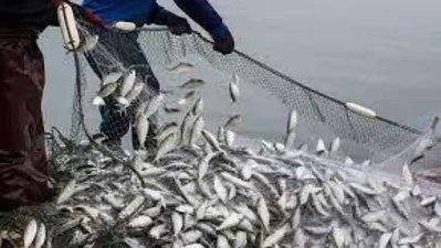 Jharkhand News : मछली पालन के लिए आदिवासियों को मिलेगी 90% सब्सिडी