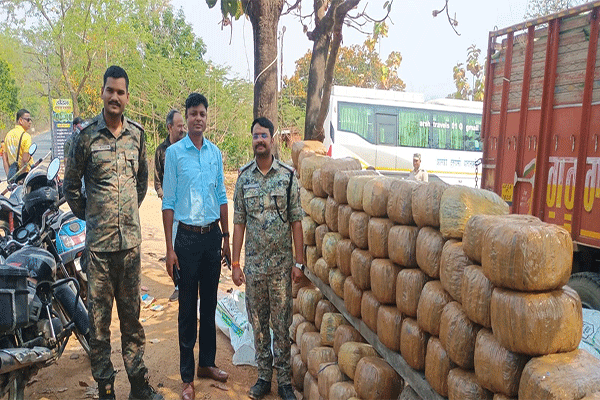 लातेहार : भारी मात्रा में गांजा बरामद,चारे की बोरियों में छिपा रखा था