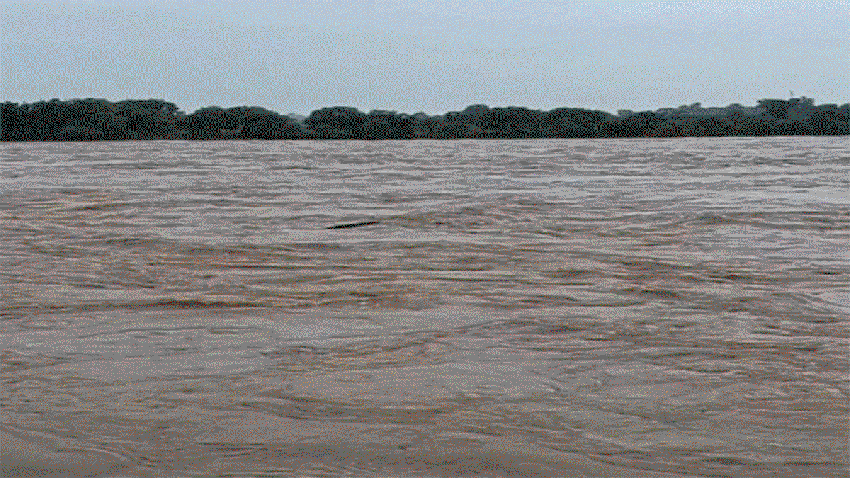 Jamshedpur News: स्वर्णरेखा-खरकई नदी का जलस्तर बढ़ा, खतरे के निशान से ऊपर बह रहा पानी