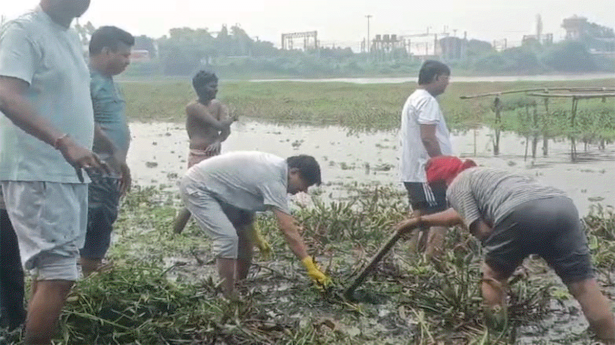 Cleaning of Pampu Pond