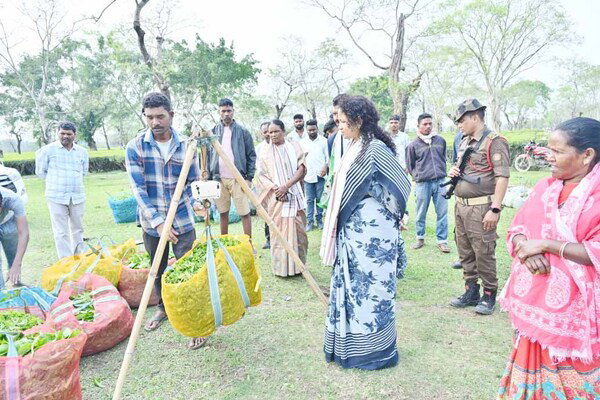 असम : कल्पना सोरेन ने भूबेन मुरारी के लिए मांगे वोट, चाय बागान मजदूरों से किया संवाद