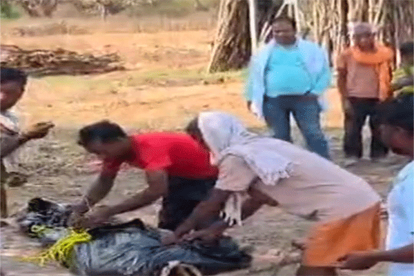 लातेहार : जंगली भैंसे के हमले में महुआ चुनने गई दो महिलाओं की मौत, एक गंभीर घायल