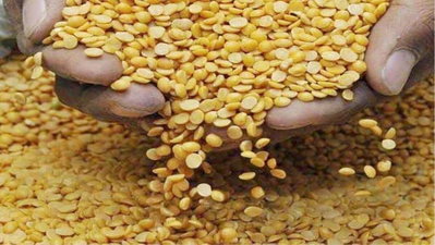 Jharkhand : दाल वितरण में हांफ रहा  विभाग, 600 करोड़ रुपये का बजट प्रबंधन, अब तक तीन महीने ही आपूर्ति