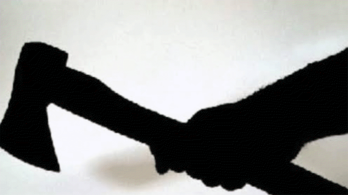 Son attacked with an axe durin