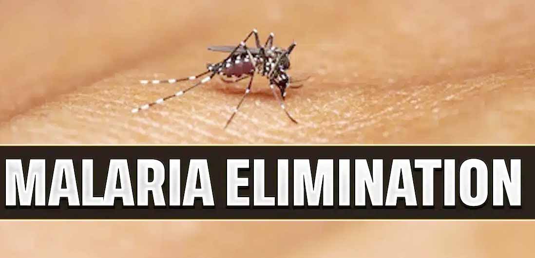 राज्य के 115 गांवों में मलेरिया उन्मूलन कार्यों का आकलन, रांची में बनेगी नई योजना