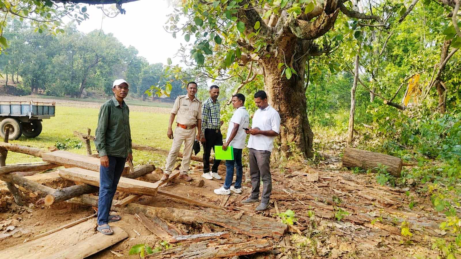 Simdega News : बराईबेड़ा में वन विभाग की कार्रवाई, 6 पीस साल लकड़ी का बोटा व चिरान जब्त