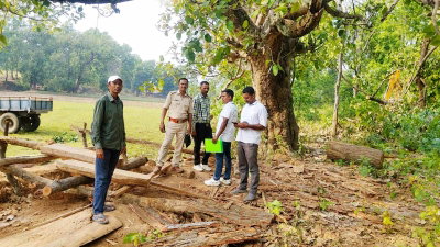 Simdega News : बराईबेड़ा में वन विभाग की कार्रवाई, 6 पीस साल लकड़ी का बोटा व चिरान जब्त