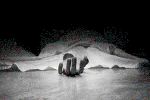 Palamu News : तेज रफ्तार ट्रक ने ली पारा शिक्षक की जान
