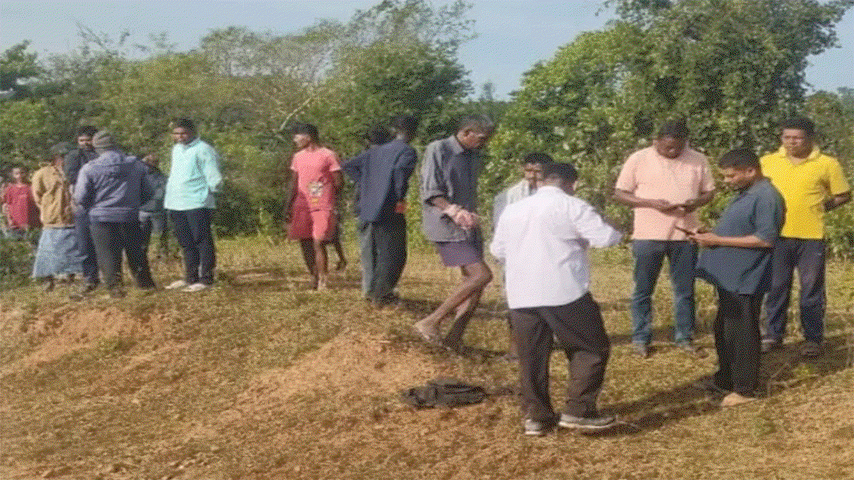 Man dies in elephant attack