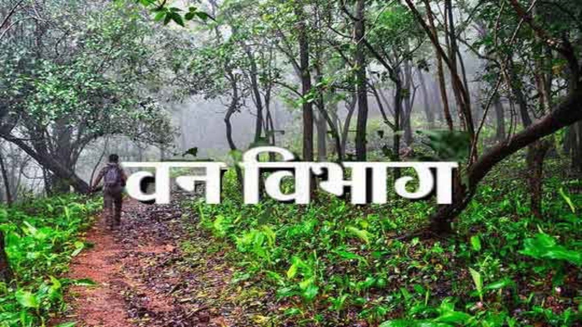 हजारीबाग के वन अधिकारियों पर लगे आरोपों की जांच रिपोर्ट तलब, राज्यपाल और केंद्र के पत्रों के बाद विभाग सक्रिय