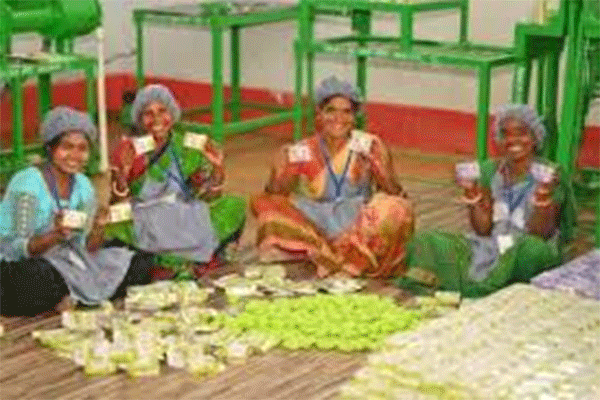 JSLPS की पहल: NAARI मिशन, पलाश और FPO से ग्रामीण अर्थव्यवस्था को नई उड़ान