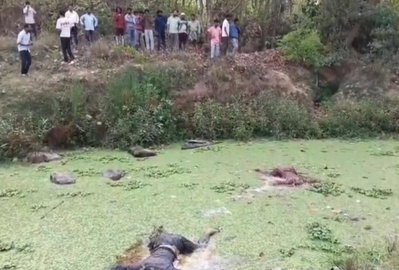 हजारीबाग के दंदाहा नदी में मिले 3 शव, 23 अप्रैल से थे लापता