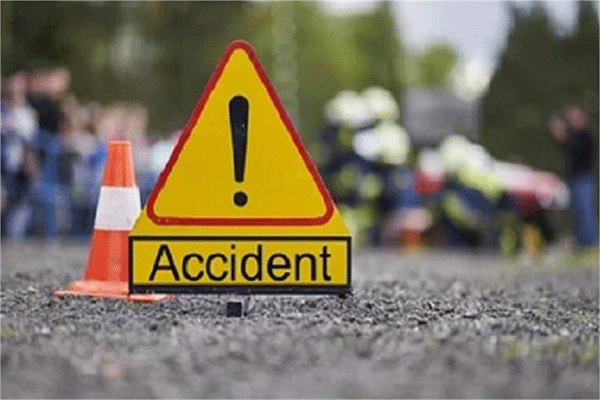 पलामू : सड़क पार करते समय वाहन की चपेट में आकर महिला की मौत