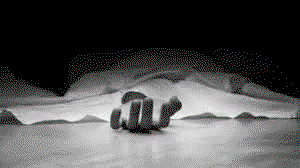 Palamu News : जंगल में मिला महिला का अधजला शव,जांच में जुटी पुलिस