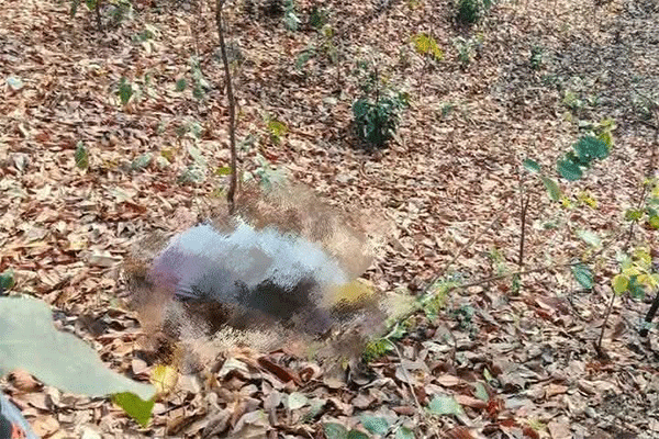 कोडरमा घाटी में महिला का संदिग्ध अवस्था में शव मिलने से सनसनी