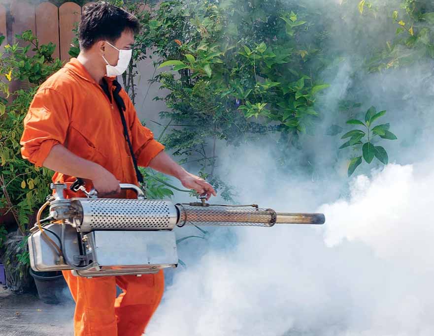 झा. मलेरिया नियंत्रण अभियान तेज, डीडीटी छिड़काव पर 3.19 करोड़ खर्च करेगी सरकार