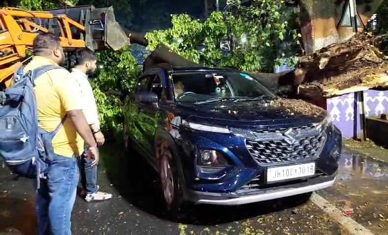 धनबाद में आंधी-बारिश से गिरा पेड़, कार क्षतिग्रस्त, यातायात बाधित