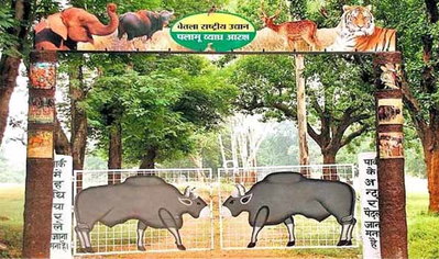 PTR में कैटल वॉचर के पारिश्रमिक राशि भुगतान में गड़बड़ी, मजदूरों की राशि दूसरे खातों में भेजी