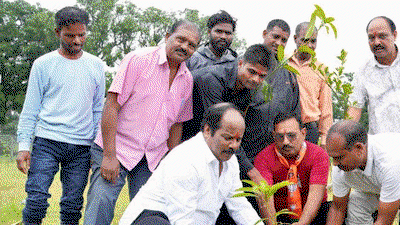 Hazaribagh News : एक पेड़ मां के नाम अभियान , विधायक प्रदीप प्रसाद ने किया पौधारोपण