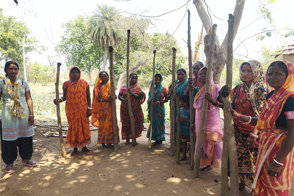 जामताड़ा :  JSLPS की अनूठी पहल ,सहजन डाली लगाओ अभियान की शुरुआत