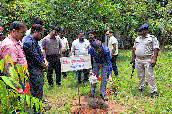 Deoghar News  : पर्यावरण दिवस पर डीसी समेत अधिकारियों ने लगाए फलदार पौधे