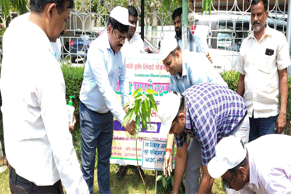 Latehar News : विश्व पर्यावरण दिवस पर DC व DDC ने किया पौधारोपण