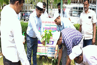 Latehar News : विश्व पर्यावरण दिवस पर DC व DDC ने किया पौधारोपण