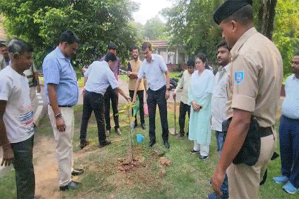 Jamshedpur News : विश्व पर्यावरण दिवस पर सर्किट हाउस में डीसी ने लगाया पौधा