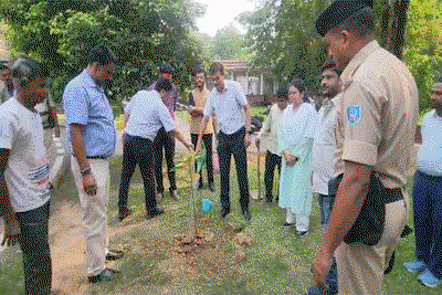 Jamshedpur News : विश्व पर्यावरण दिवस पर सर्किट हाउस में डीसी ने लगाया पौधा
