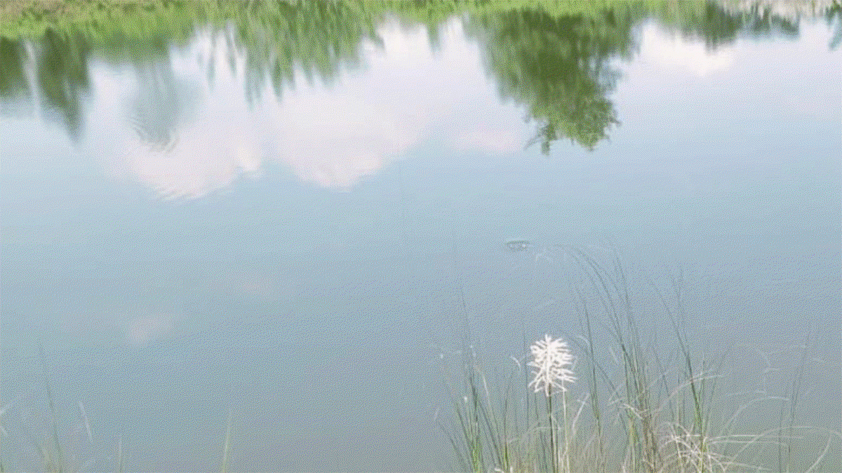 Mother child drown in pond